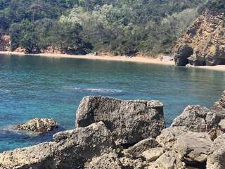 Апартаменты Apartment Rena Будва Апартаменты с 1 спальней-10